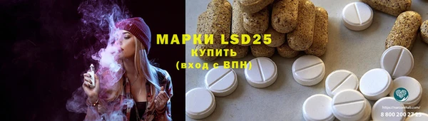 прущие грибы Богородицк