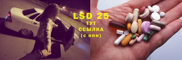 прущие грибы Богородицк