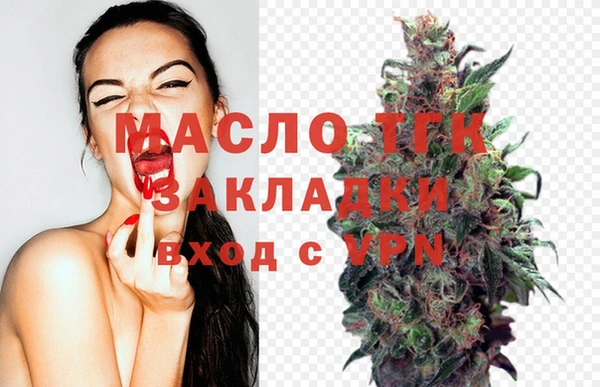 гашик Верея