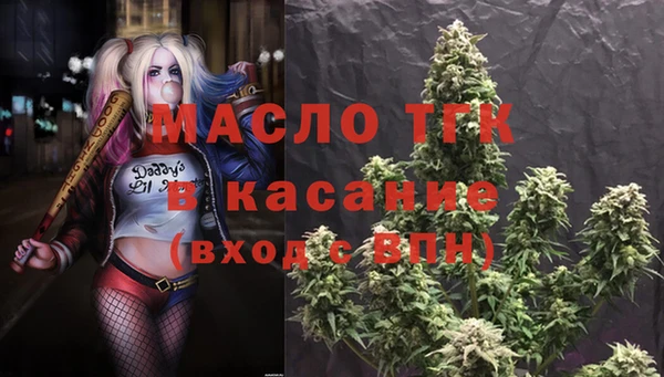 гашик Верея