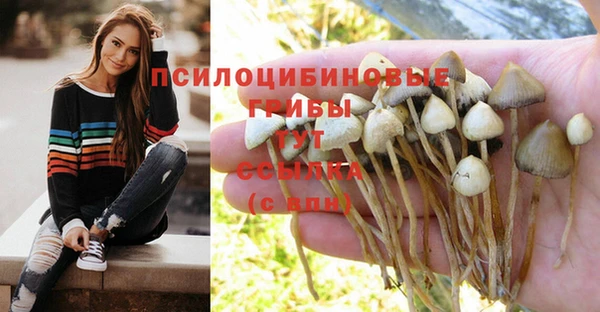 прущий лед Верхний Тагил