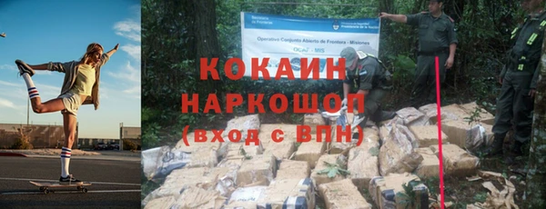 гашик Верея