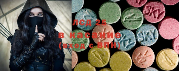 гашик Верея