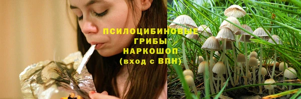 прущие грибы Богородицк