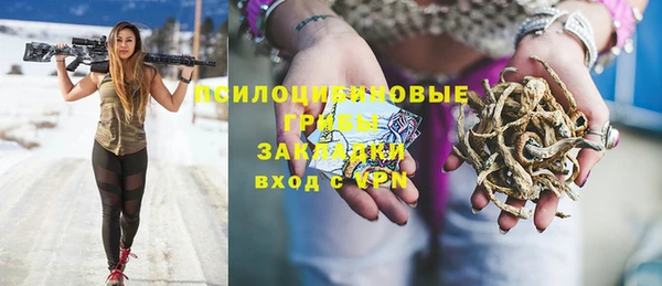 прущие грибы Богородицк